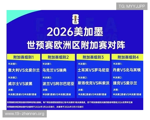 加拿大vs波黑比赛数据全面分析2026世界杯两队历史交手纪录与关键统计数据